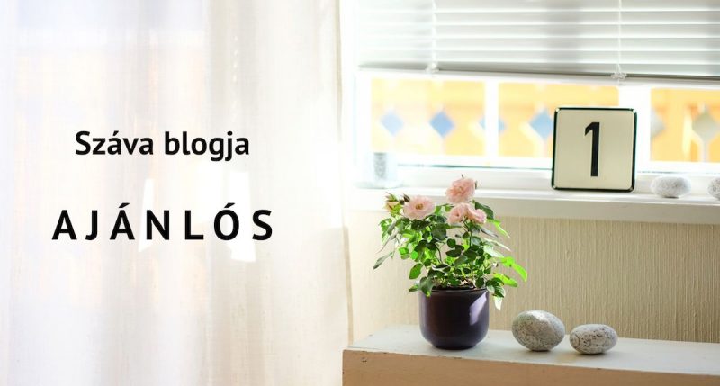 Ajanlos-Szava-blogja